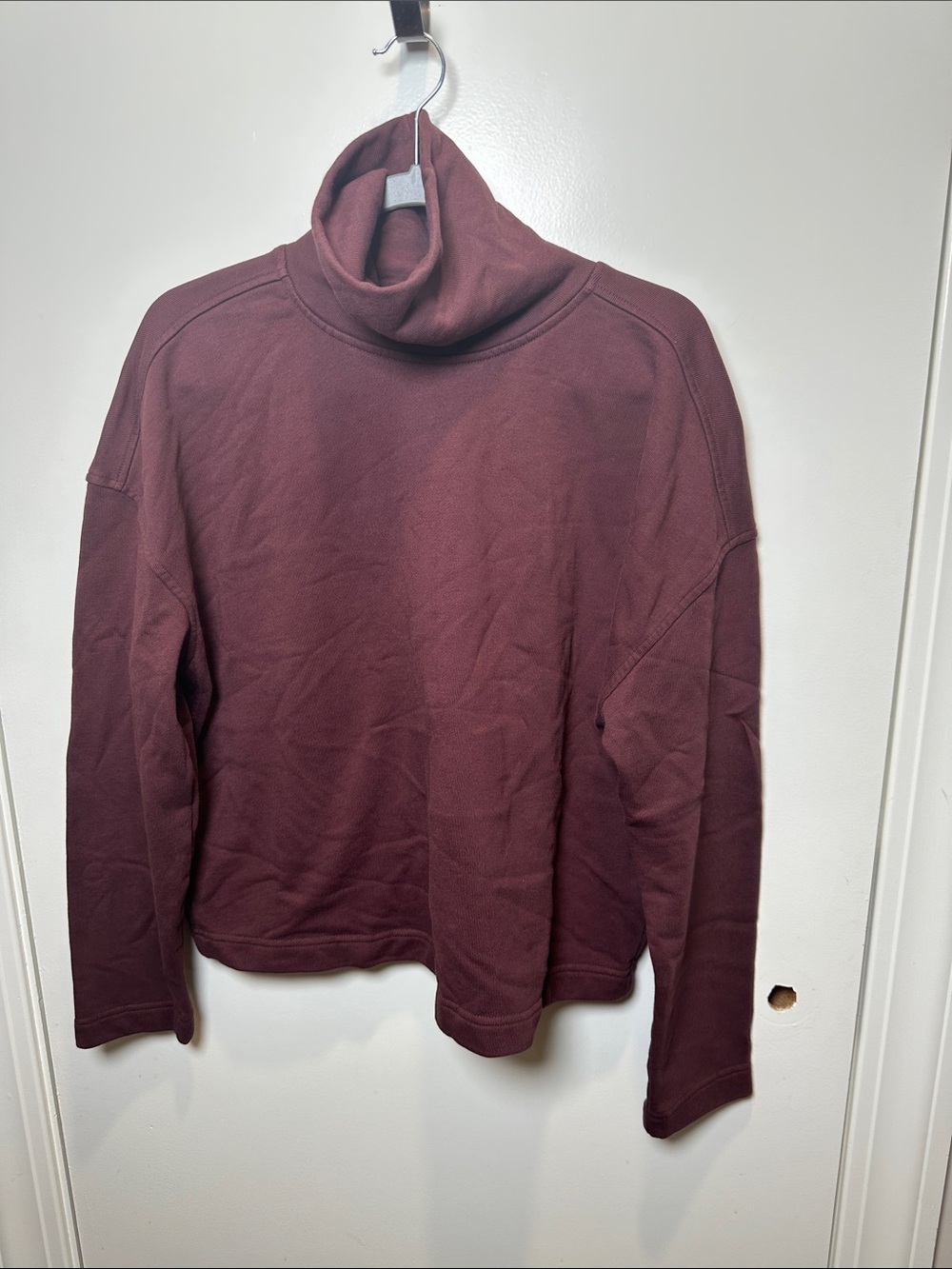 Everlane Women's Turtleneck Sweater - Maroon (101)